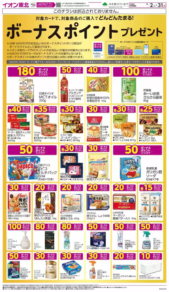 main_flyer image
