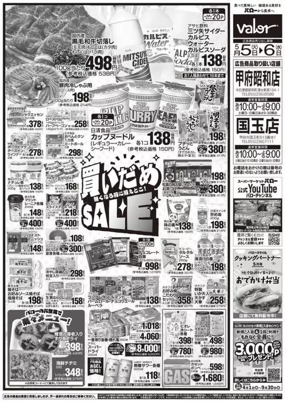 main_flyer image