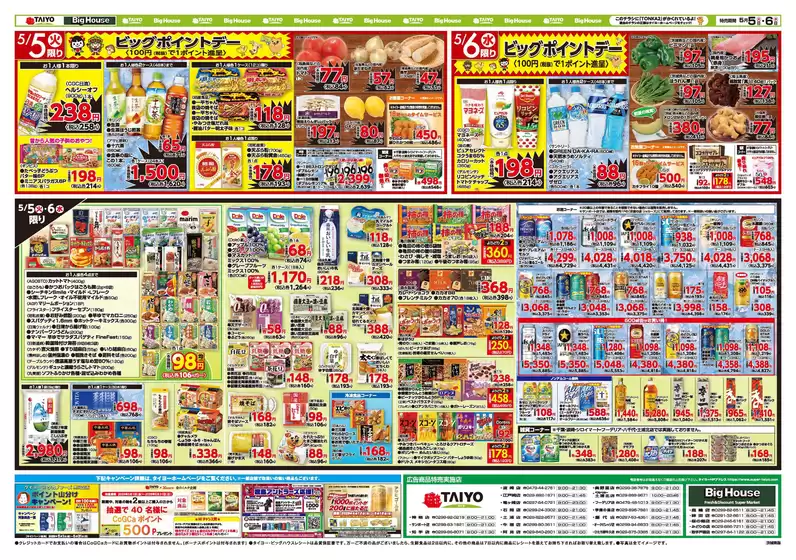 main_flyer image