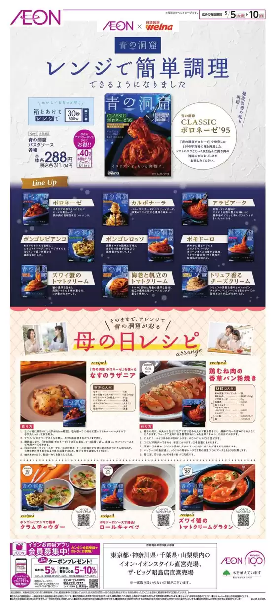 main_flyer image