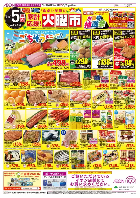 main_flyer image