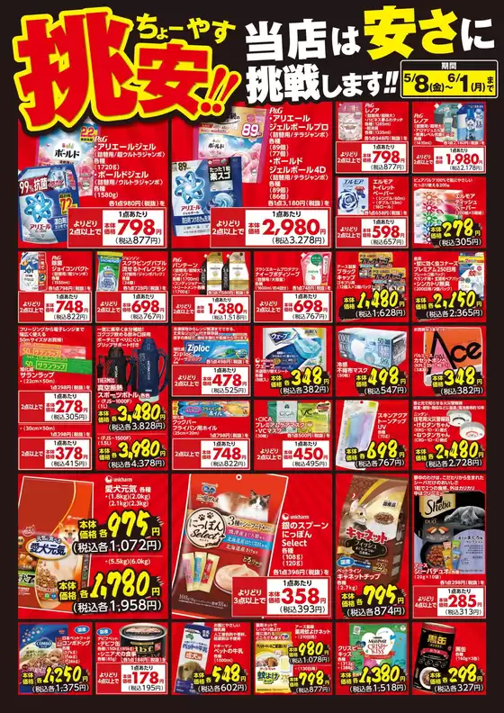main_flyer image