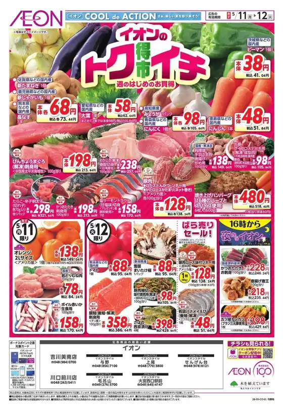 main_flyer image