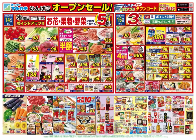 main_flyer image