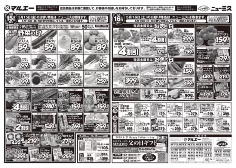 main_flyer image