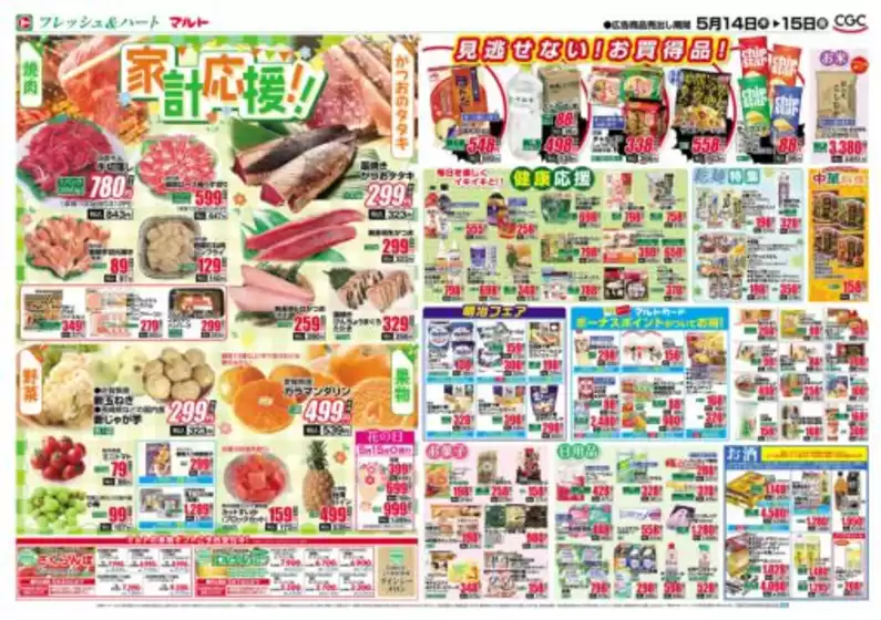 main_flyer image
