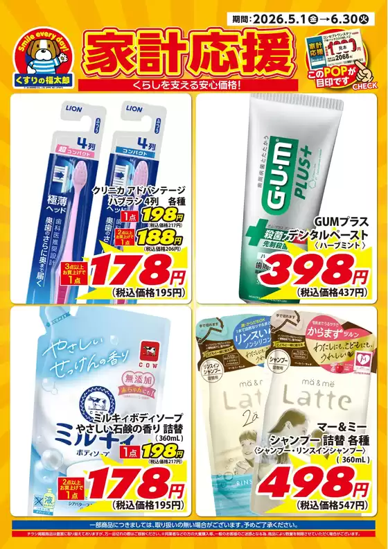 main_flyer image