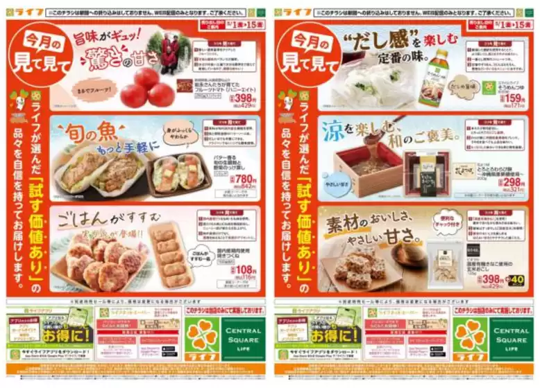 main_flyer image