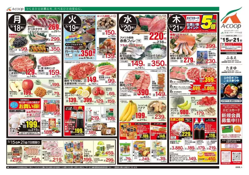 main_flyer image