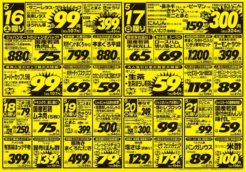 main_flyer image