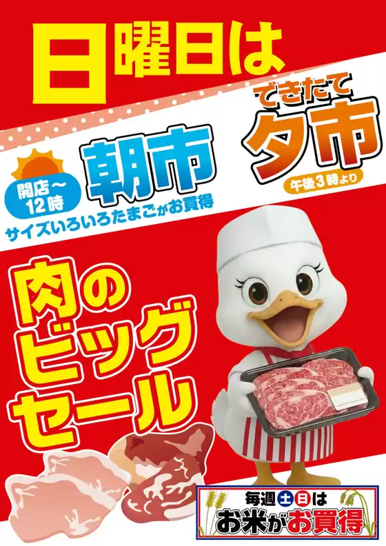 セイミヤのカタログ | セイミヤ チラシ | 2026-05-17T00:00:00.000Z - 2026-05-31T00:00:00.000Z