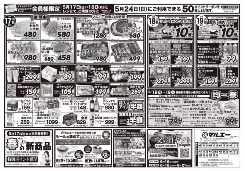 main_flyer image