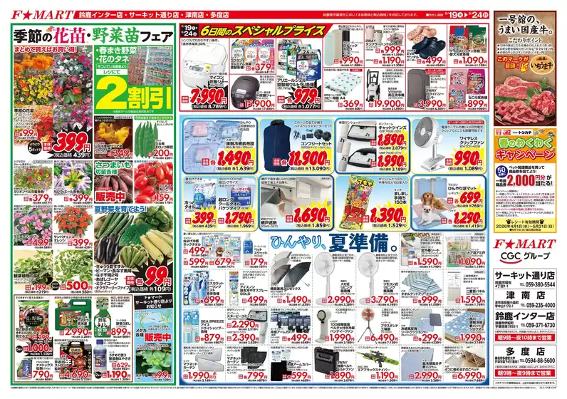 main_flyer image