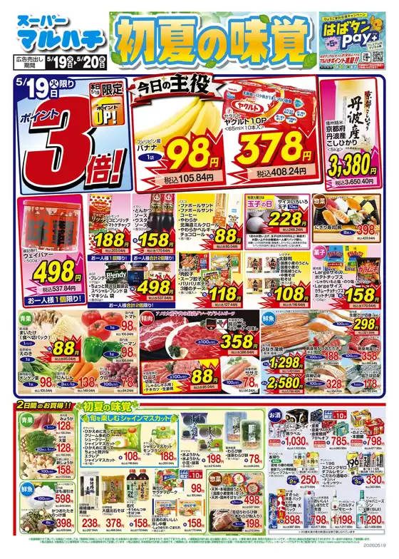 マルハチのカタログ | 2026年05月19日-20日 | 2026-05-18T00:00:00.000Z - 2026-05-20T00:00:00.000Z
