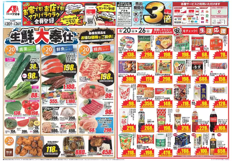 main_flyer image