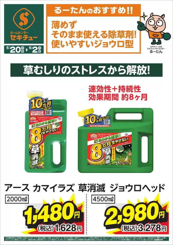 main_flyer image