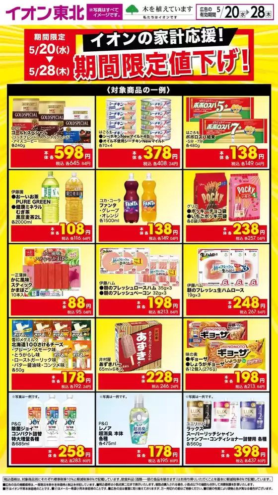 main_flyer image