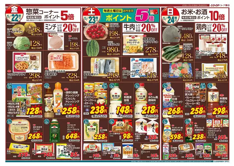 main_flyer image