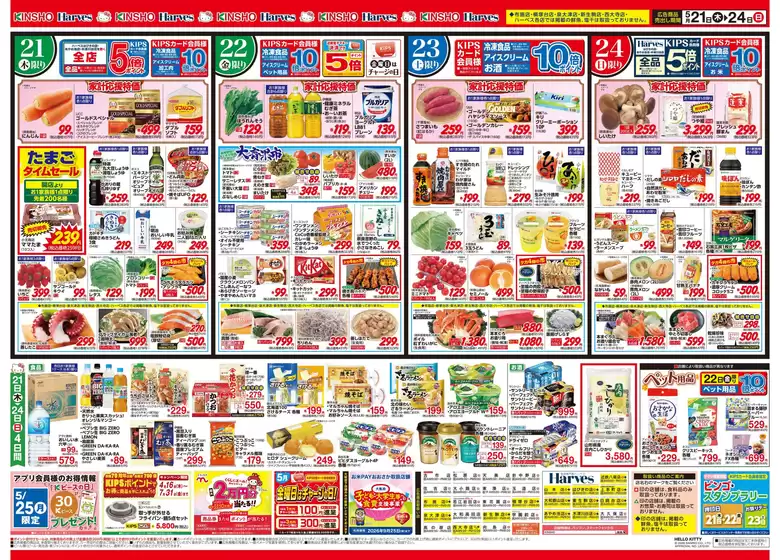 main_flyer image