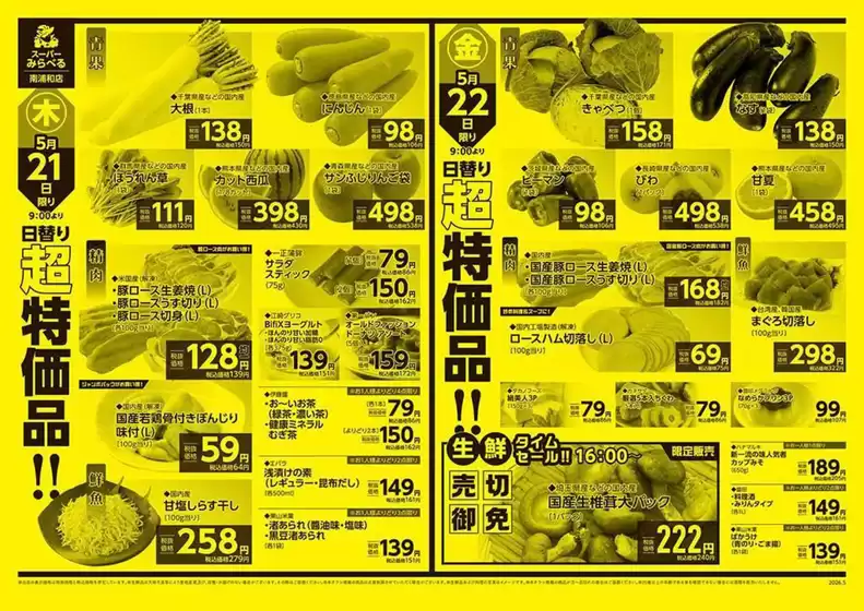 main_flyer image