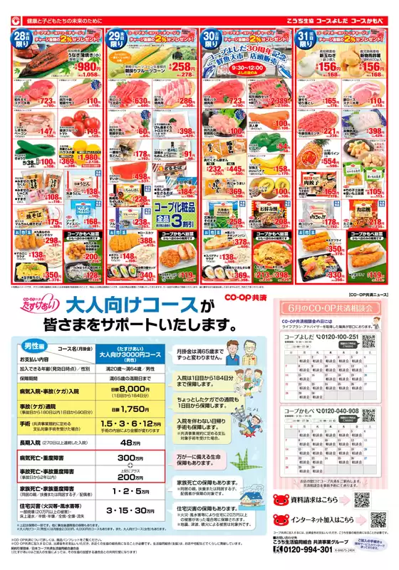 main_flyer image