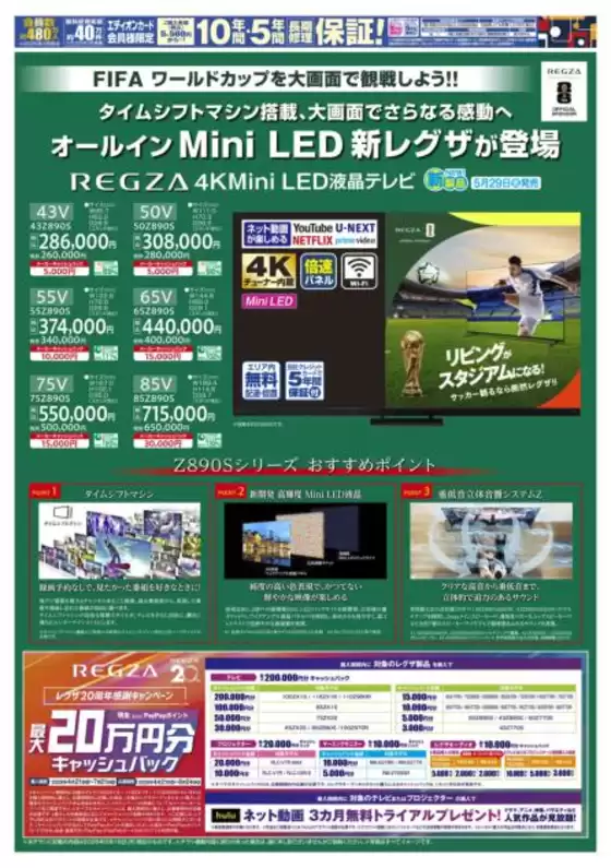 main_flyer image