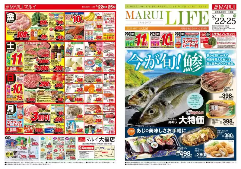 main_flyer image