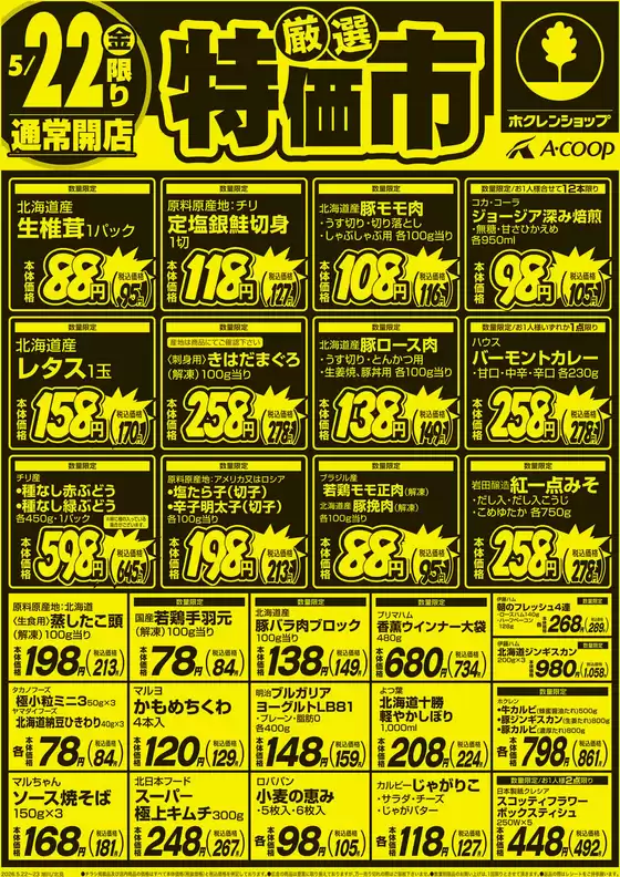 main_flyer image