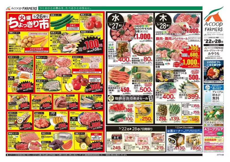 main_flyer image