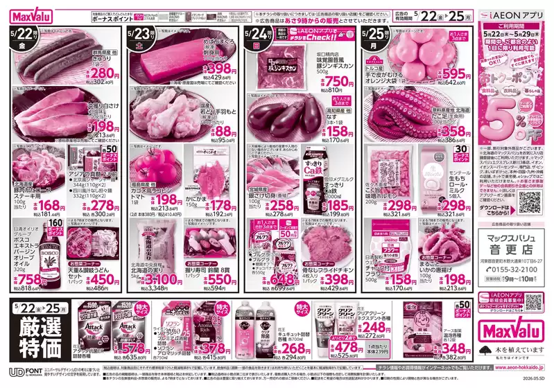main_flyer image