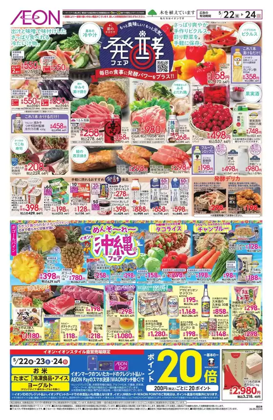 main_flyer image