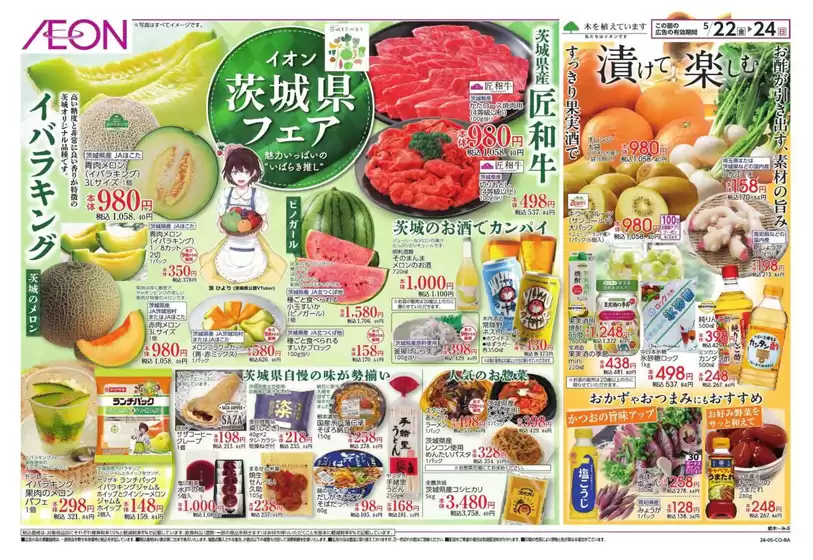 main_flyer image