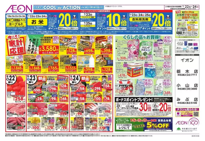 main_flyer image