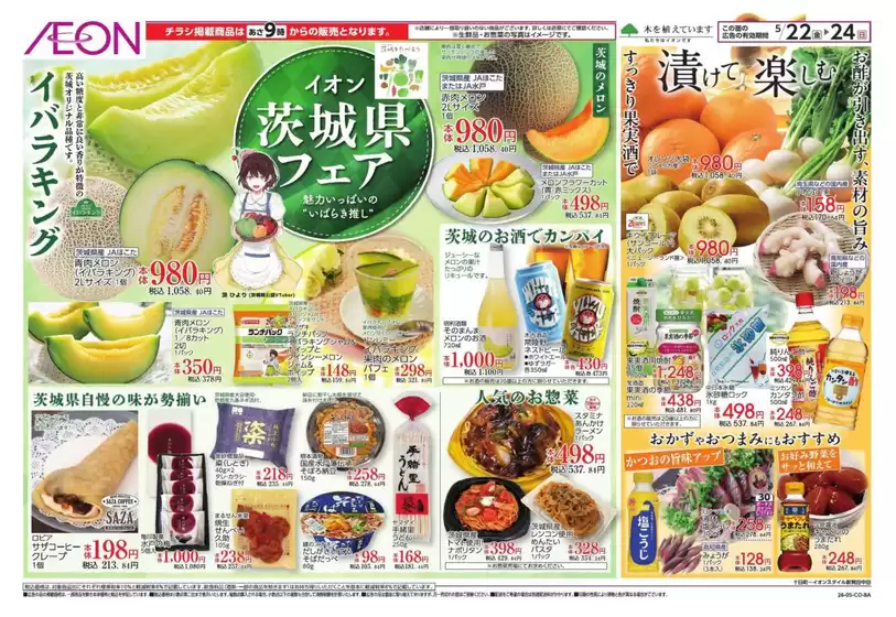 main_flyer image