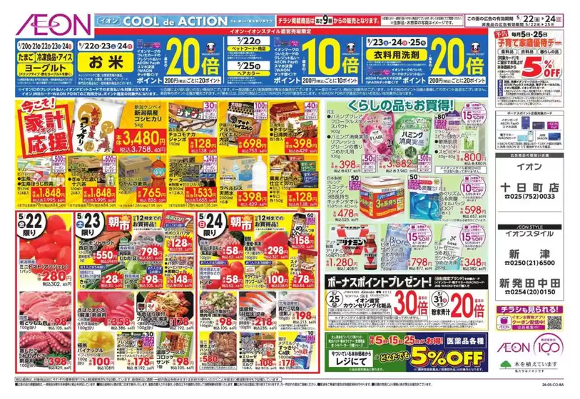 main_flyer image