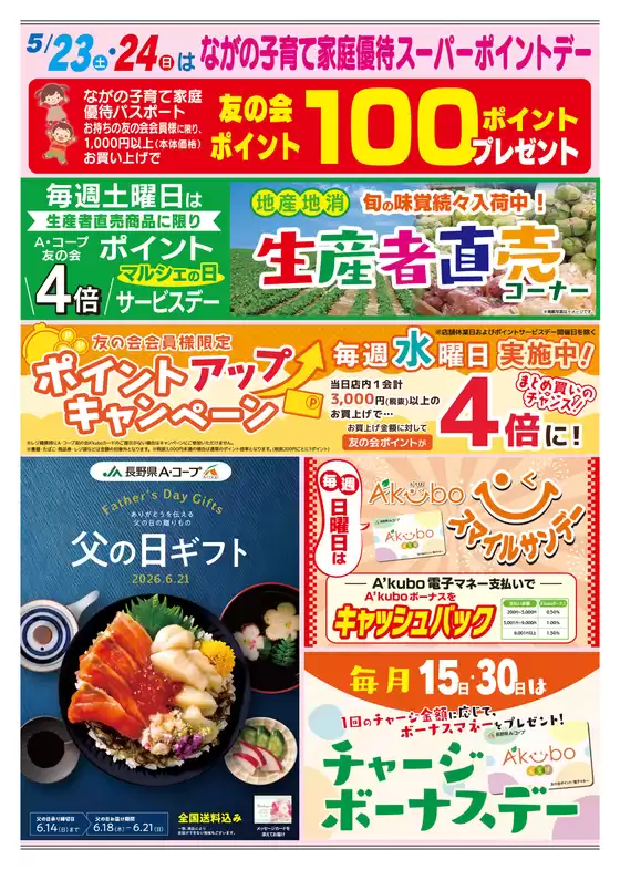 main_flyer image