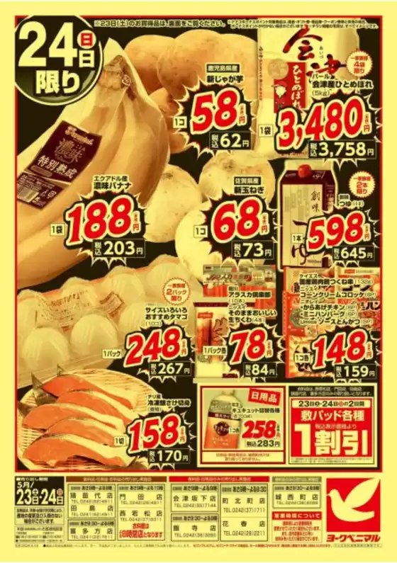main_flyer image