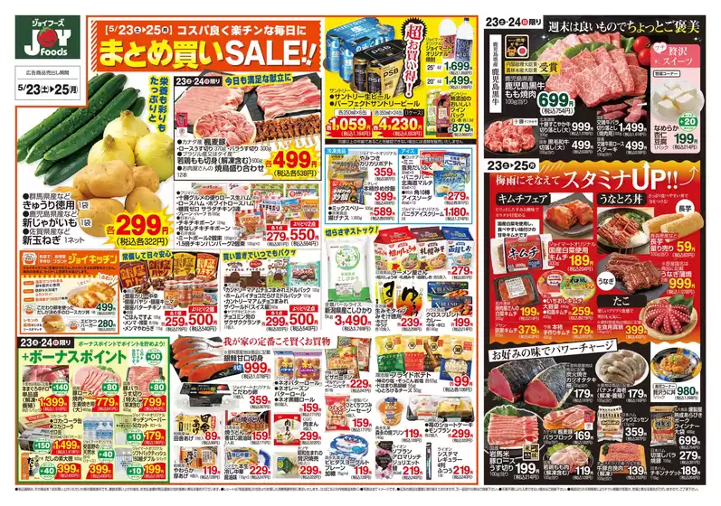 main_flyer image