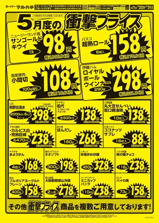 main_flyer image