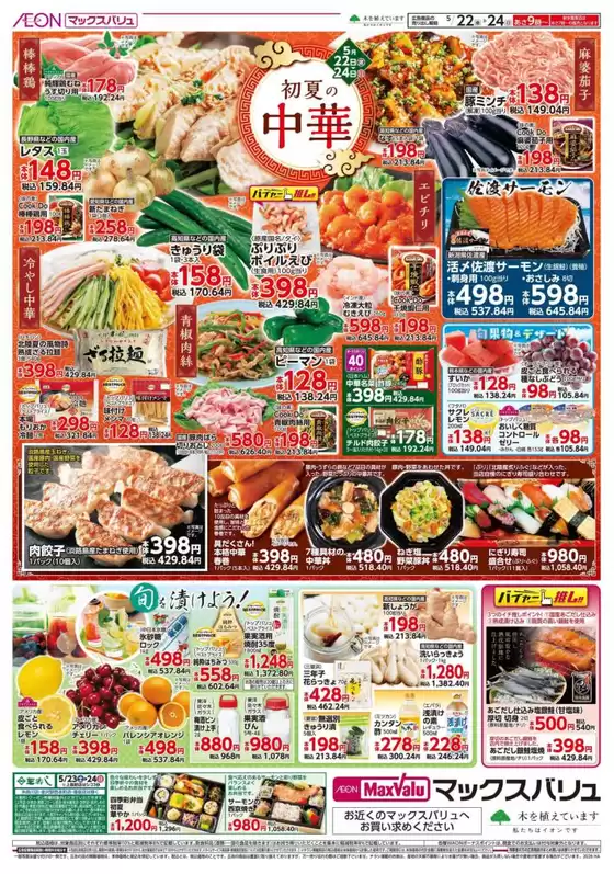 main_flyer image