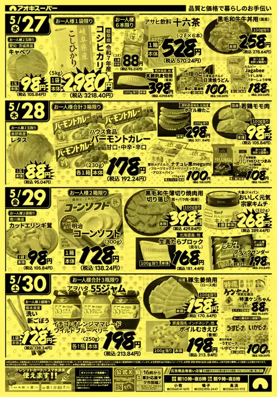 main_flyer image