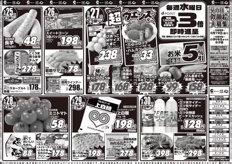 main_flyer image