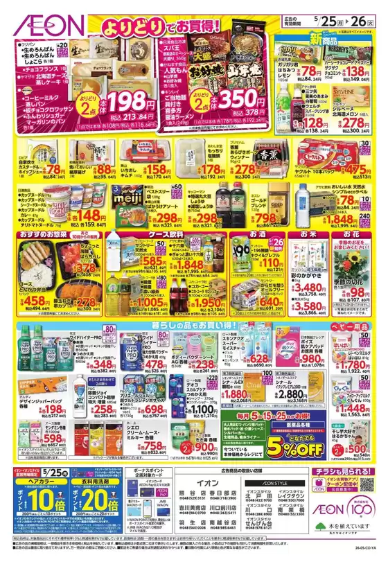 main_flyer image