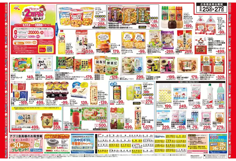 main_flyer image