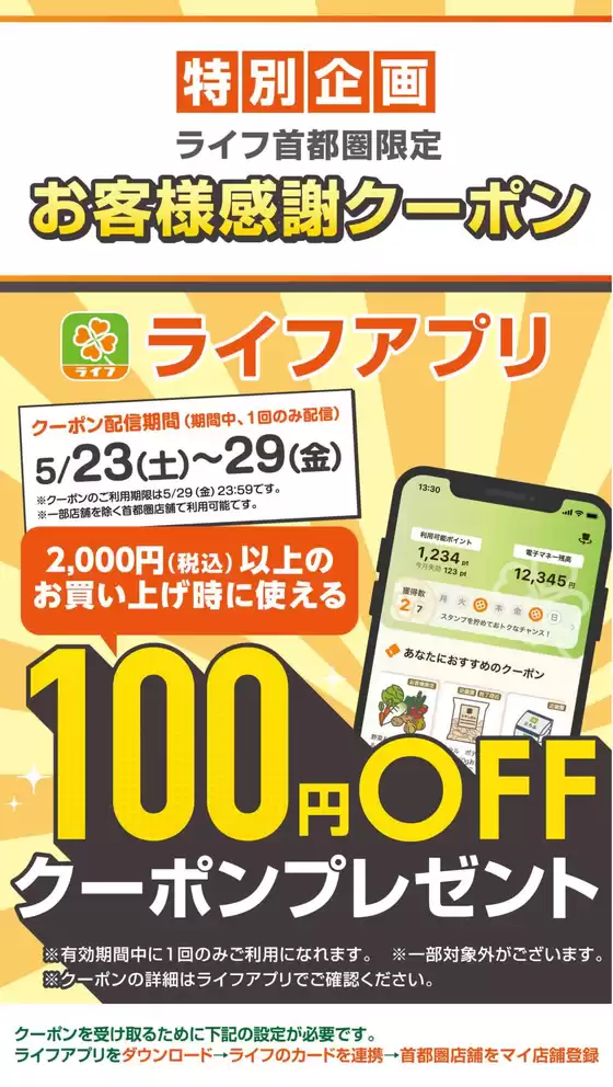 main_flyer image