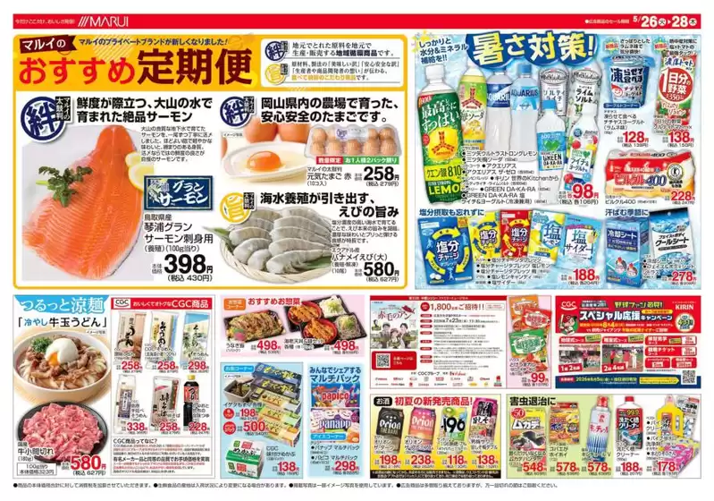 main_flyer image