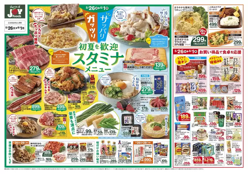 main_flyer image