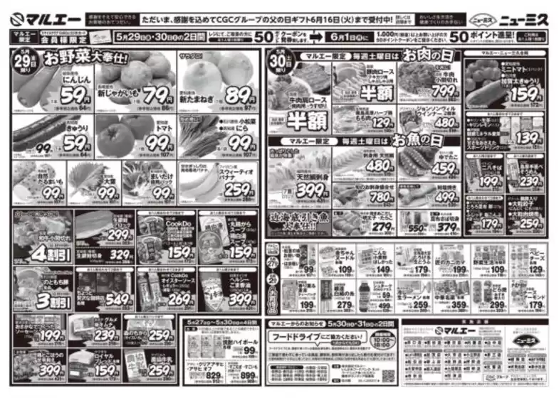 main_flyer image