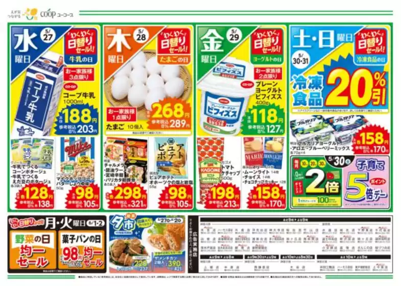 main_flyer image