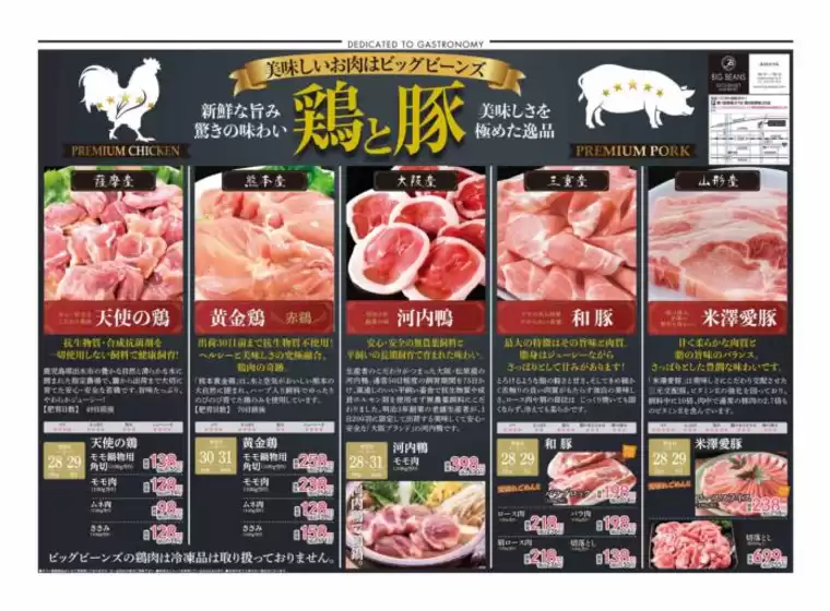 ビッグビーンズのカタログ | 芦屋店 | 2026-05-27T00:00:00.000Z - 2026-06-10T00:00:00.000Z